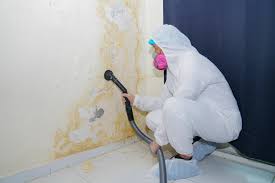 Best Post-Construction Mold Inspection  in USA